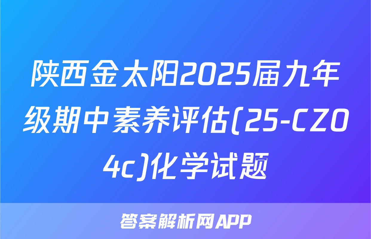 陕西金太阳2025届九年级期中素养评估(25-CZ04c)化学试题